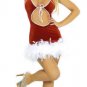 Cool Sexy Christmas Costume