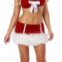Mini Santa Costume
