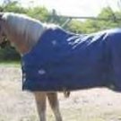 Derby Originals Stable Winter Blanket
