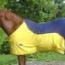 Designer Fleece Horse Cooler for Equine Protection