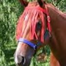 Equine Fly Control Fly Horse Fringe