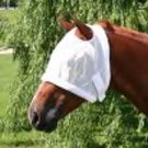 Equine Fly  Control Horse Mask without Ears