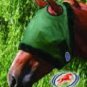 Equine Fly Control Horse Mask without Ears