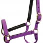 Premium Nylon Padded Horse Halter
