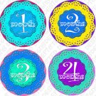 FLOWERS ONESIE STICKERS Newborn Photos by Onesie Stickers, Free Milestone Stickers FLOWERS ONESIE STICKERS Newborn Photos by Onesie Stickers, Free Milestone Stickers