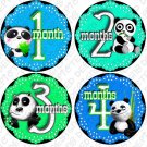 PANDA BEARS ONESIE STICKERS waterproof durable by Onesie Stickers, Free Milestone Stickers PANDA BEARS ONESIE STICKERS waterproof durable by Onesie Stickers, Free Milestone Stickers