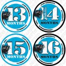 CAROLINA PANTHERS NFL MONTHLY ONESIE STICKERS football by Onesie Stickers, Free Milestone Stickers