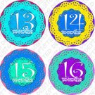 FLOWERS MONTHLY ONESIE STICKERS MOM TO BE NEWBORN, Free Milestone Stickers FLOWERS MONTHLY ONESIE STICKERS MOM TO BE NEWBORN, Free Milestone Stickers