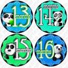 PANDA BEARS MONTHLY ONESIE STICKERS 13-24 MONTHS, infants and toddlers Photo Scrapbooking PANDA BEARS MONTHLY ONESIE STICKERS 13-24 MONTHS, infants and toddlers Photo Scrapbooking