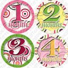 DANCING CIRCLES ONESIE STICKERS 1 TO 12 months by Onesie Stickers baby shower gifts