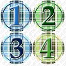 Monthly Onesie Sticker Boys Blue and white Gingham