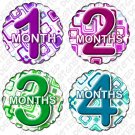 Monthly Onesie stickers BOX SQUARES 1 to 12 months baby shower gifts