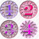 Monthly Onesie Sticker Girls Pink and white Gingham baby shower gift Monthly Onesie Sticker Girls Pink and white Gingham baby shower gift