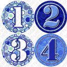 Round Rings Infant Monthly Onesie Stickers tshirt stickers baby gift Round Rings Infant Monthly Onesie Stickers tshirt stickers baby gift