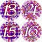 Purple Gingham Monthly Onesie stickers baby album stickers