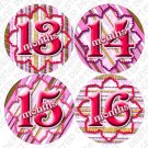 Pink and Brown Toddler Monthly Onesie Stickers tshirt stickers baby gift Pink and Brown Toddler Monthly Onesie Stickers tshirt stickers baby gift