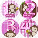 Girl Monkeys Go Bananas Baby Month Stickers baby album stickers Girl Monkeys Go Bananas Baby Month Stickers baby album stickers