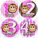 Girls Pink Monket Stripes Baby Month Stickers baby album stickers Girls Pink Monket Stripes Baby Month Stickers baby album stickers