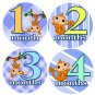 Laid Back Monkeys Baby Month Stickers baby album stickers