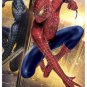 Spider-Man 3 (Single-Disc Widescreen Edition) 2007 DVD