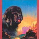 Seaman: The Dog Who Explored the West With Lewis and Clark (Paperback) - LIKE NEW