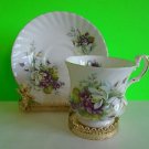 QUEEN'S Fine Bone China Rossina Centenarp Dear Tea Cup and Saucer EUC Ship Fast