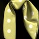 Scarves, Ties, Collars