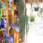 Huge 7 ft African Milk Tree  Euphorbia Trigona Tree