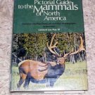 Pictorial Guide Mammals of North America ~~ 1967