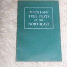 Important tree Pests of the Northeast ~~ 1940