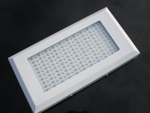 250W led grow lights Extreme Flower Bloom ratio - 2w LED chip