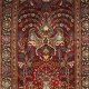 Hand Knotted Kashmir Rug