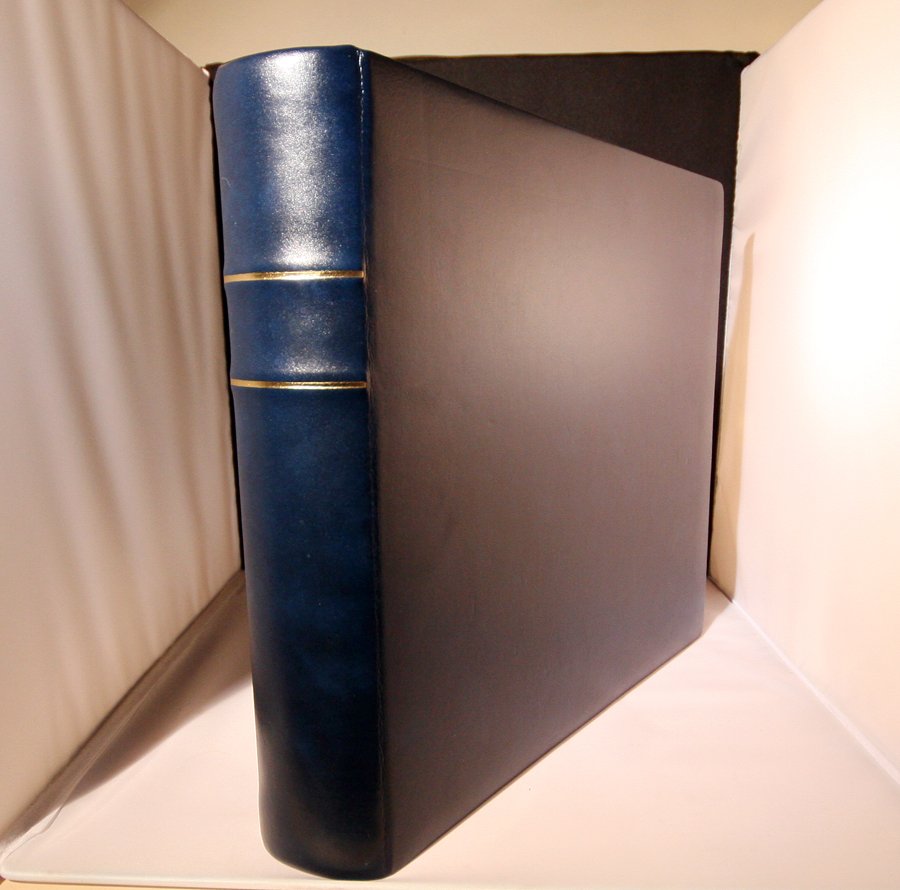 Art Leather Professional Wedding Album