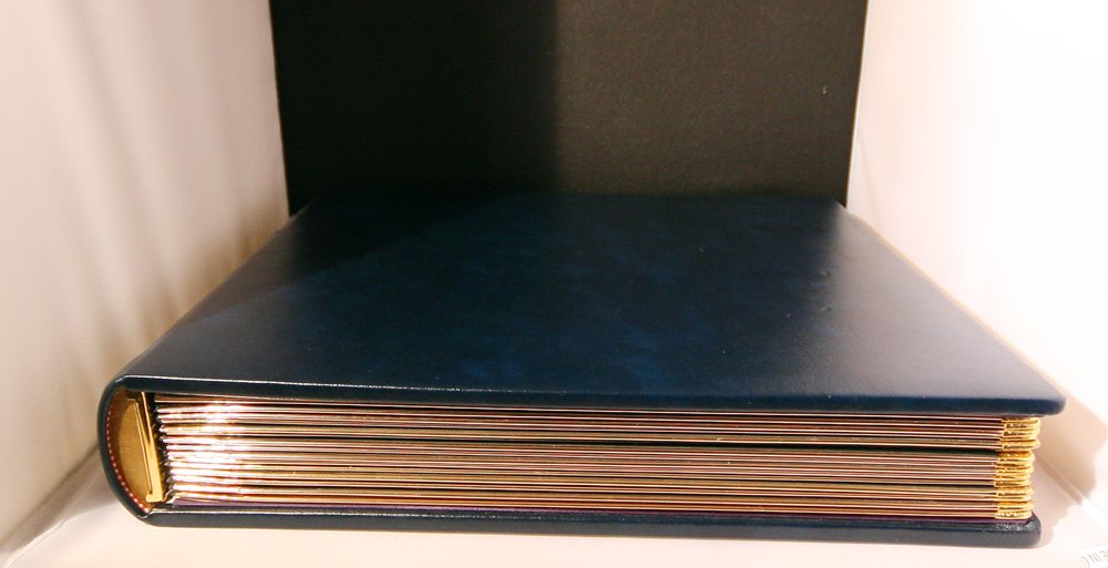 Art Leather Professional Wedding Album