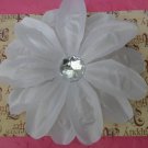 White Tropical Flower