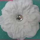 Large White Dahlia