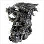 Skull And Dragon Figurine(swm)