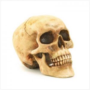 Skull Head Figurine(A1)