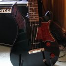 PRS custom pickguard parts