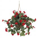 Begonia Hanging Basket
