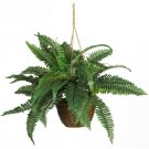 Boston Fern Silk Hanging Basket by Nearly Natural