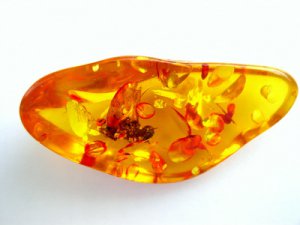 Amber Perfume Oil