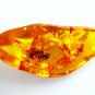 Amber Perfume Oil