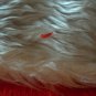 Four Plush Red & White Be Merry Christmas Stockings 18.5 Inches Long
