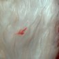 Four Plush Red & White Be Merry Christmas Stockings 18.5 Inches Long