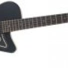 Danelectro Guitar