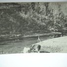 POSTCARD- TROUT STREAM CATSKILL CREEK PRESTON HOLLOW NY