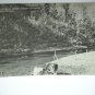 POSTCARD- TROUT STREAM CATSKILL CREEK PRESTON HOLLOW NY