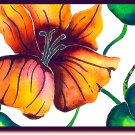 Kirsten's Flower Note Cards