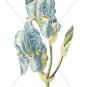 Vintage Blue Flowers digital collage sheet